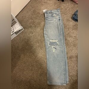 AE Light Blue Distressed Ankle Jeans